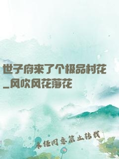 世子府来了个极品村花