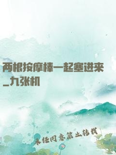 两根按摩棒一起塞进来