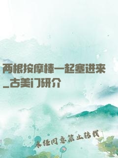 两根按摩棒一起塞进来