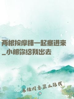 两根按摩棒一起塞进来