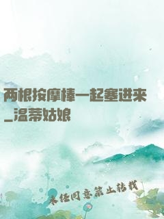 两根按摩棒一起塞进来