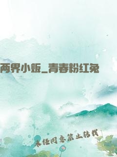 两界小贩
