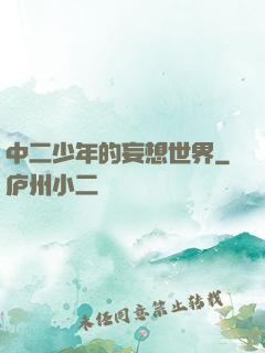 中二少年的妄想世界