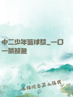 中二少年篮球梦