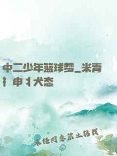中二少年篮球梦