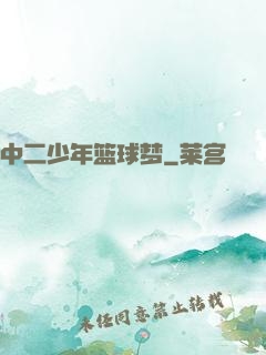 中二少年篮球梦