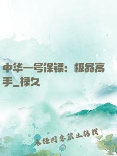中华一号保镖：极品高手