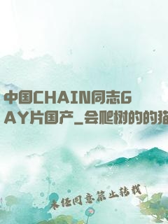 中国CHAIN同志GAY片国产