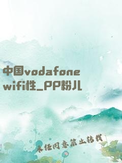 中国vodafonewifi性