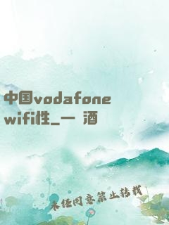 中国vodafonewifi性