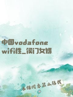 中国vodafonewifi性