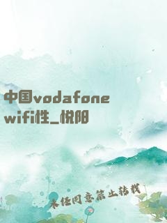 中国vodafonewifi性