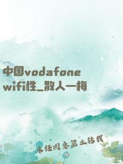中国vodafonewifi性