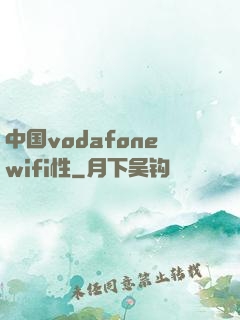 中国vodafonewifi性
