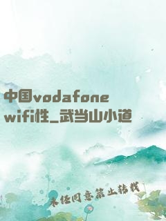 中国vodafonewifi性
