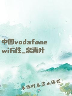 中国vodafonewifi性