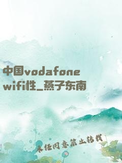 中国vodafonewifi性
