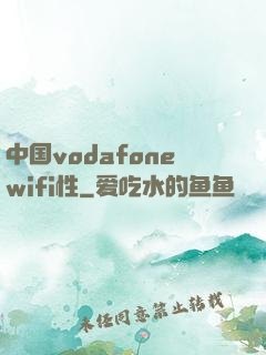 中国vodafonewifi性