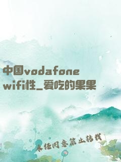 中国vodafonewifi性