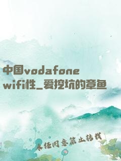 中国vodafonewifi性