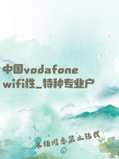 中国vodafonewifi性