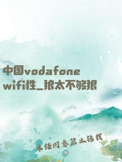 中国vodafonewifi性