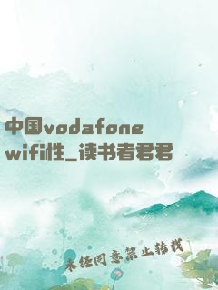 中国vodafonewifi性