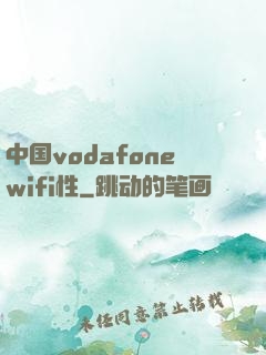 中国vodafonewifi性