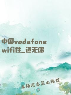 中国vodafonewifi性