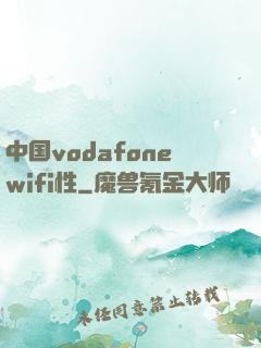 中国vodafonewifi性