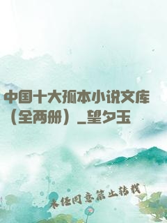 中国十大孤本小说文库（全两册）