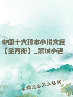 中国十大孤本小说文库（全两册）