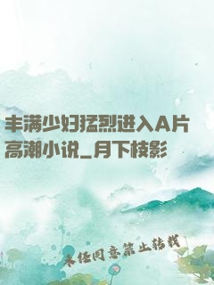 丰满少妇猛烈进入A片高潮小说