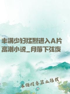 丰满少妇猛烈进入A片高潮小说