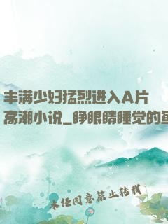 丰满少妇猛烈进入A片高潮小说