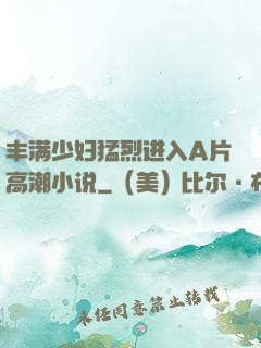 丰满少妇猛烈进入A片高潮小说
