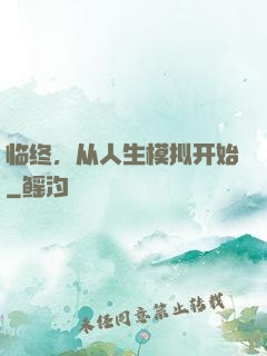临终，从人生模拟开始