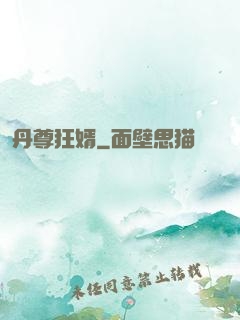 丹尊狂婿