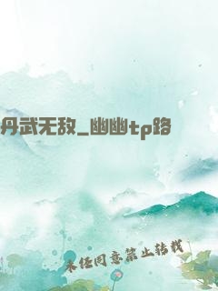 丹武无敌