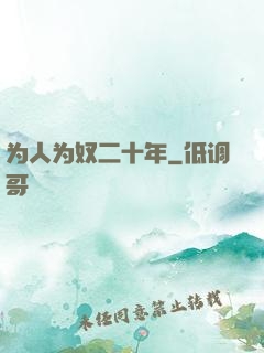 为人为奴二十年