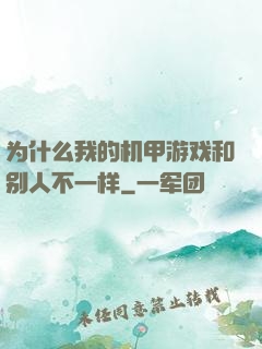 为什么我的机甲游戏和别人不一样
