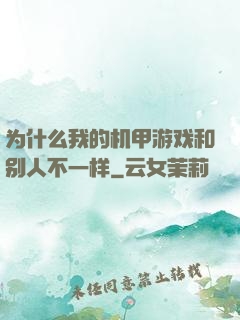 为什么我的机甲游戏和别人不一样