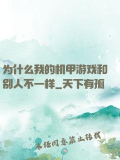 为什么我的机甲游戏和别人不一样