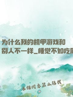 为什么我的机甲游戏和别人不一样