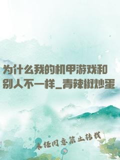 为什么我的机甲游戏和别人不一样