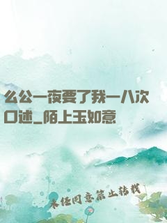 么公一夜要了我一八次口述