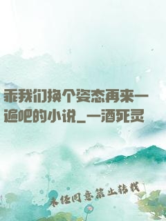 乖我们换个姿态再来一遍吧的小说