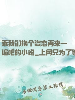 乖我们换个姿态再来一遍吧的小说