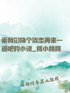 乖我们换个姿态再来一遍吧的小说