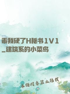 乖我硬了H秘书1V1
